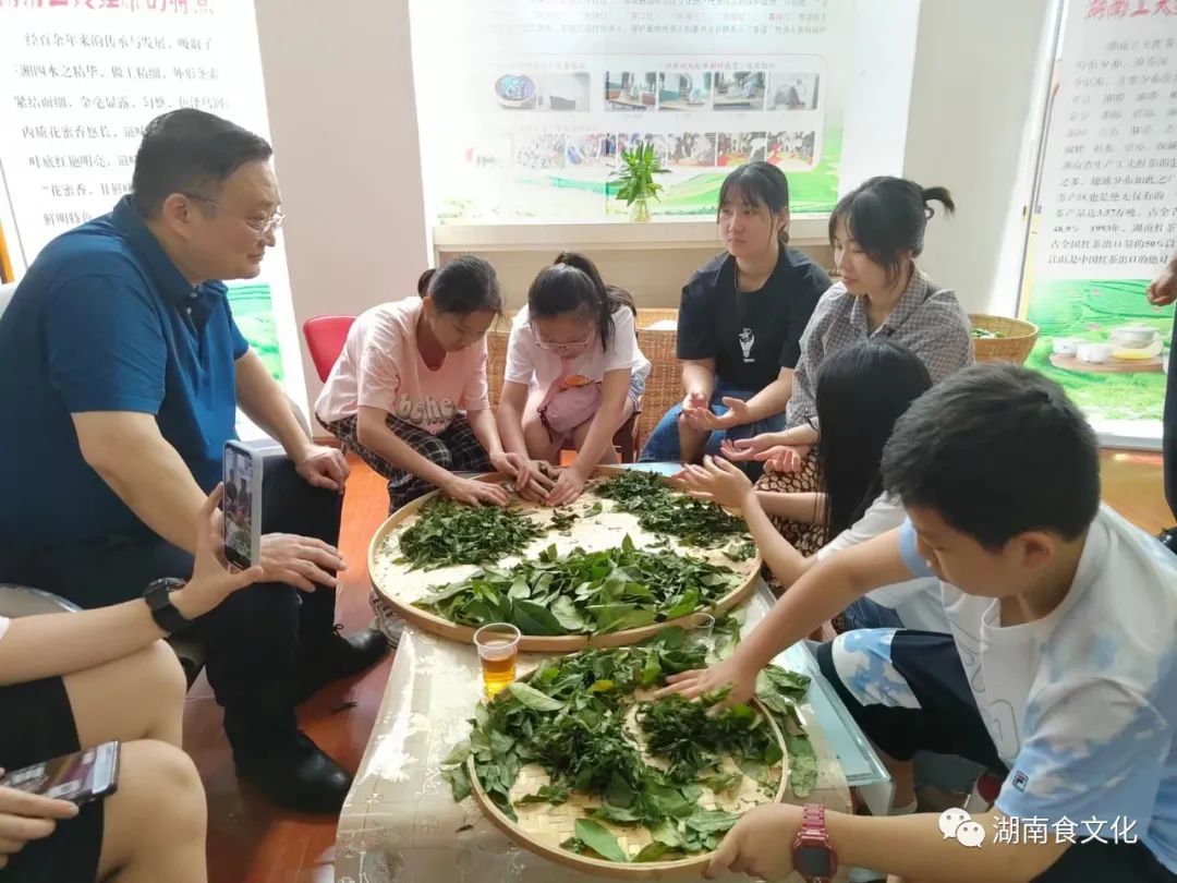 原載人民日報“人民視點”茶葉是怎樣做出來的？湖南大、中、小學生體驗湖南工夫紅茶制作
